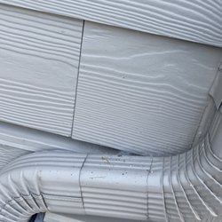 Pointe Pest Control - Spider nests and web ground level