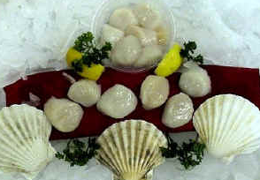 Russo's Seafood by null