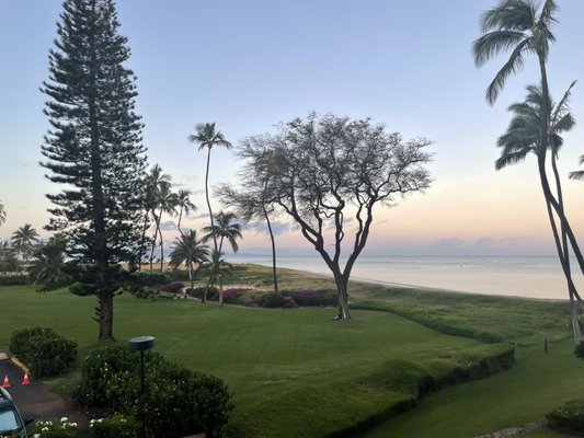 Menehune Shores Condominium by null