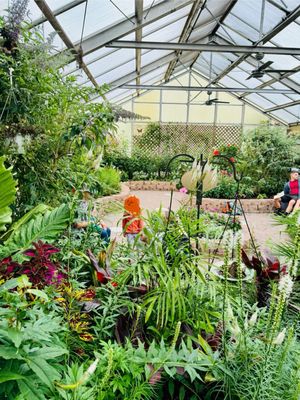 The Original Mackinac Island Butterfly House & Insect World by null