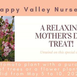 Happy Valley Nursery
