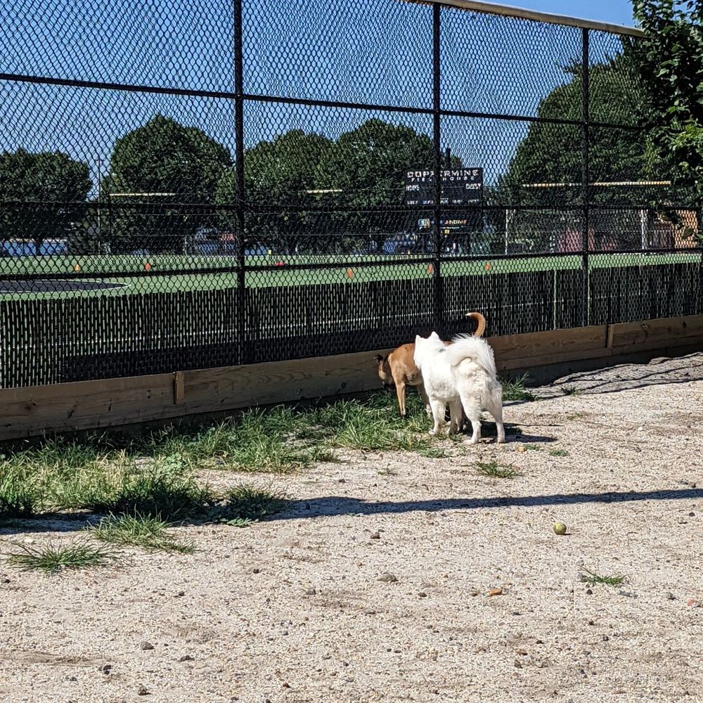 Canton Dog Park - Open spaces - Dog Parks Near Me - Baltimore, Maryland