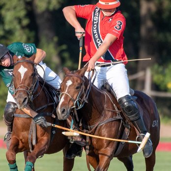 Prestonwood Polo Club - Sports Clubs Near Me - Oak Point, Texas Prestonwood Polo Club - Sports Clubs Near Me - Oak Point, Texas