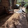 Photo of Stump'n Grind