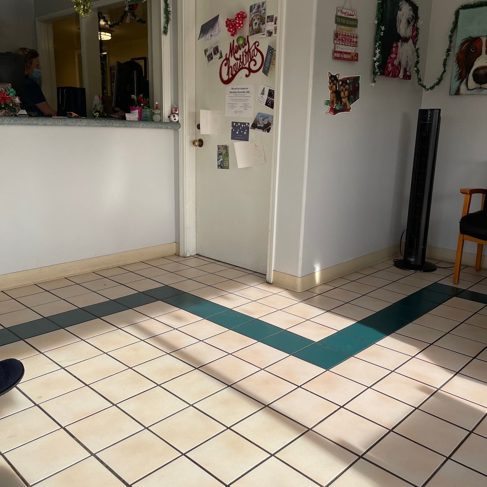 Riverside Animal Hospital - Lobby - Veterinarians Near Me - Riverside, California