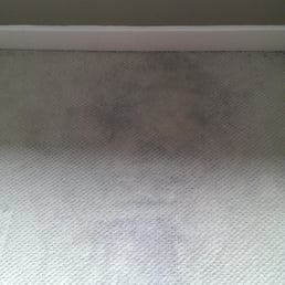 my carpet before #1 my carpet before #1