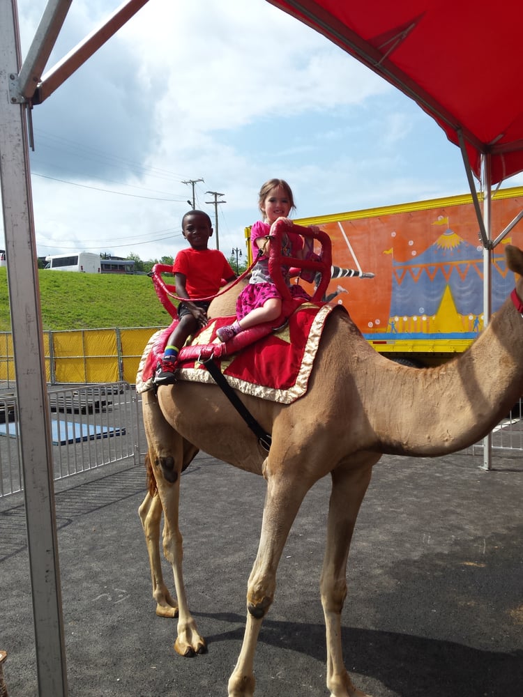 A.R.T.S. Academy - childcare center in Alexandria, VA