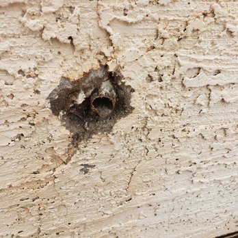 Angry Pipe Plumbing Solutions - Hose bib broke off flush with the wall. - Plumbing Near Me Angry Pipe Plumbing Solutions - Hose bib broke off flush with the wall. - Plumbing Near Me