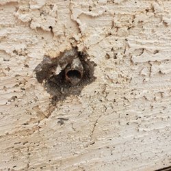 Angry Pipe Plumbing Solutions