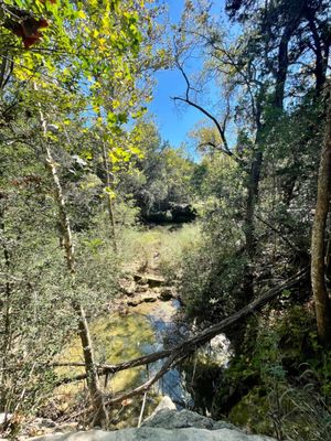 Wild Basin Wilderness Preserve by null