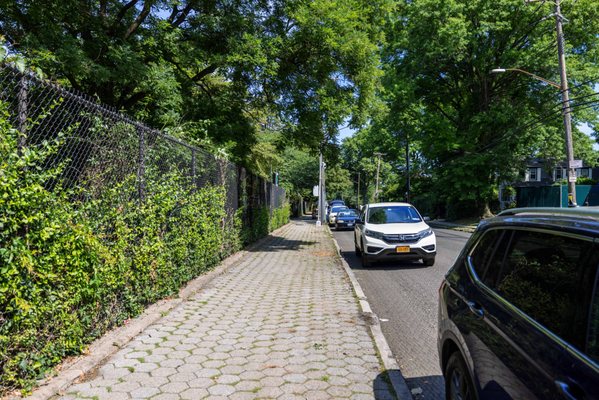 Staten Island Zoo by null