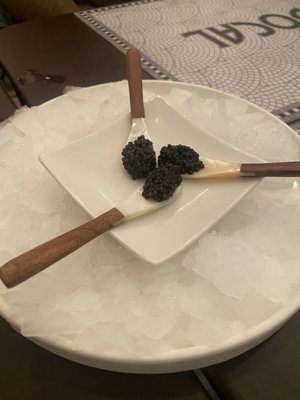 Le Bocal de la poissonnerie des halles by null