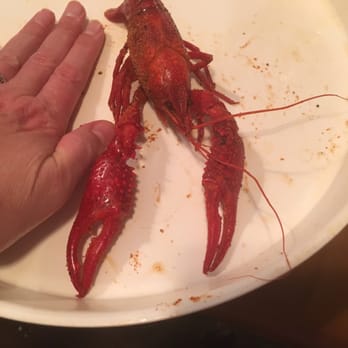 Cajun Claws - Crawfish as big as your hand!!!! - Cajun/Creole Near Me - Abbeville, Louisiana