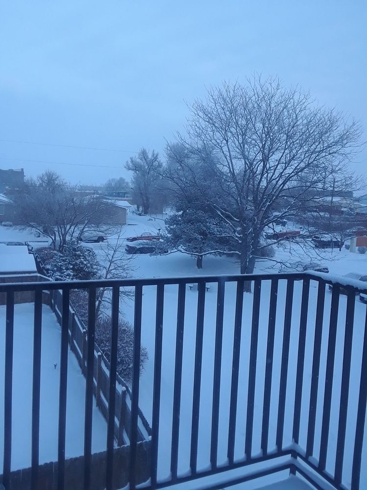 PINECREST APARTMENTS Updated April 2024 5669 Olive St, Commerce