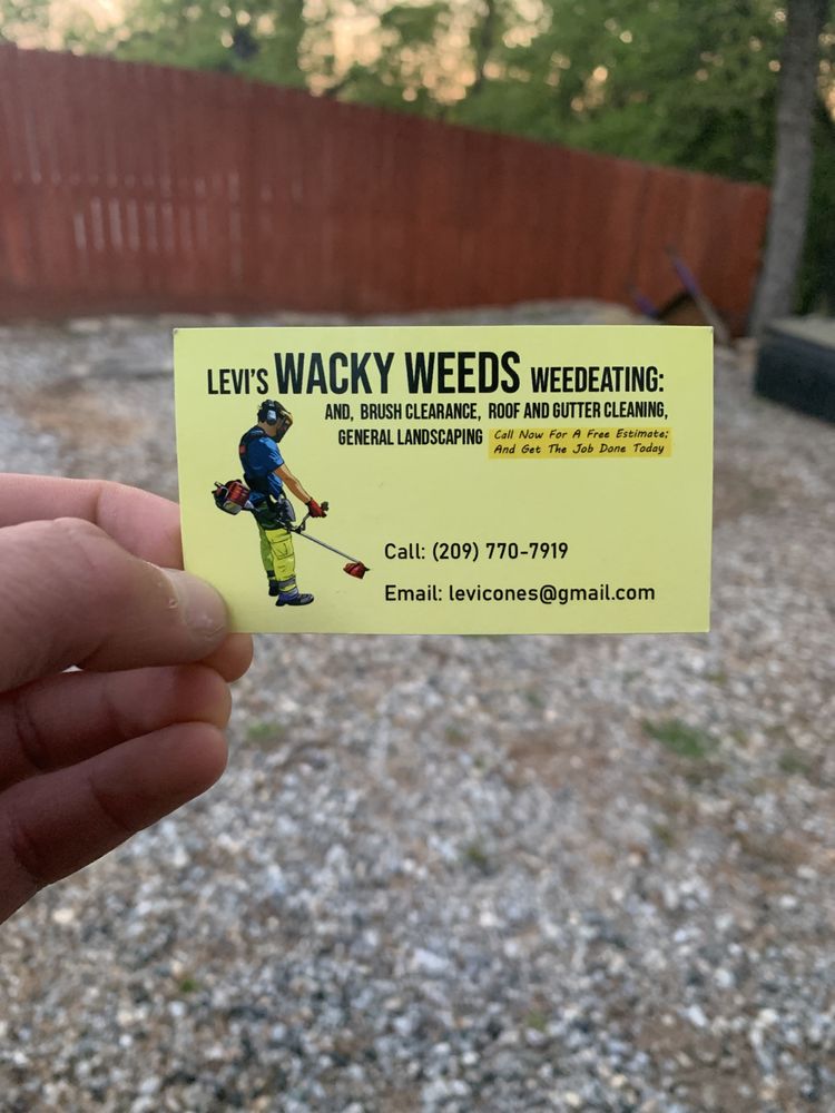 Slide of Wacky Weedeating