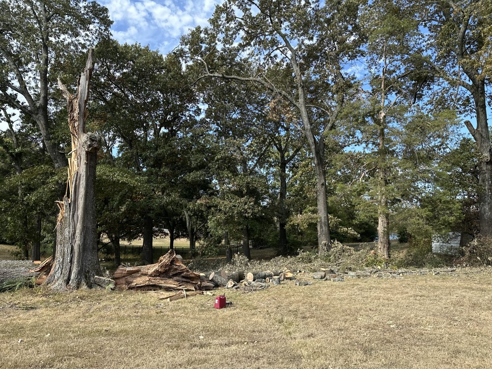 Pedro & Javier's Tree Service - tree service in Memphis, TN