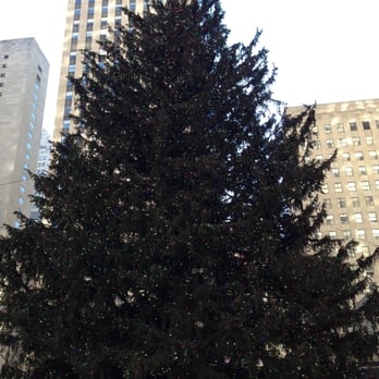 Rockefeller Center - Christmas tree 2014 - Shopping Centers Near Me - New York, New York Rockefeller Center - Christmas tree 2014 - Shopping Centers Near Me - New York, New York