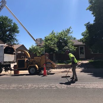 Willco Tree - Tree Services Near Me - Northglenn, Colorado