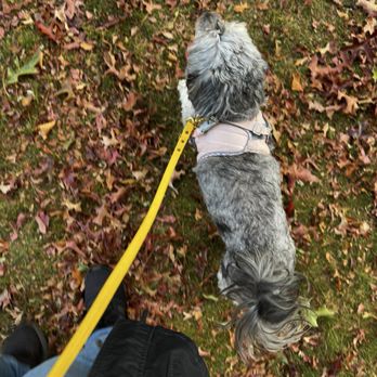 Wright Park - Walking Havanna! 10/17/25 - Venues & Event Spaces Near Me - Tacoma, Washington Wright Park - Walking Havanna! 10/17/25 - Venues & Event Spaces Near Me - Tacoma, Washington