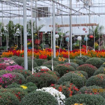Posy Patch Greenhouse & Gift Shop - Gift Shops Near Me - Owen, Wisconsin Posy Patch Greenhouse & Gift Shop - Gift Shops Near Me - Owen, Wisconsin