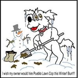 Pueblo Lawn Cop - Pet Waste Clean Up