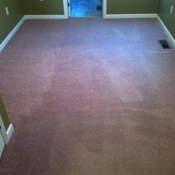 Ecotech Carpet Clean - Clean and dry - Carpet Cleaning Near Me - Lancaster, Pennsylvania Ecotech Carpet Clean - Clean and dry - Carpet Cleaning Near Me - Lancaster, Pennsylvania