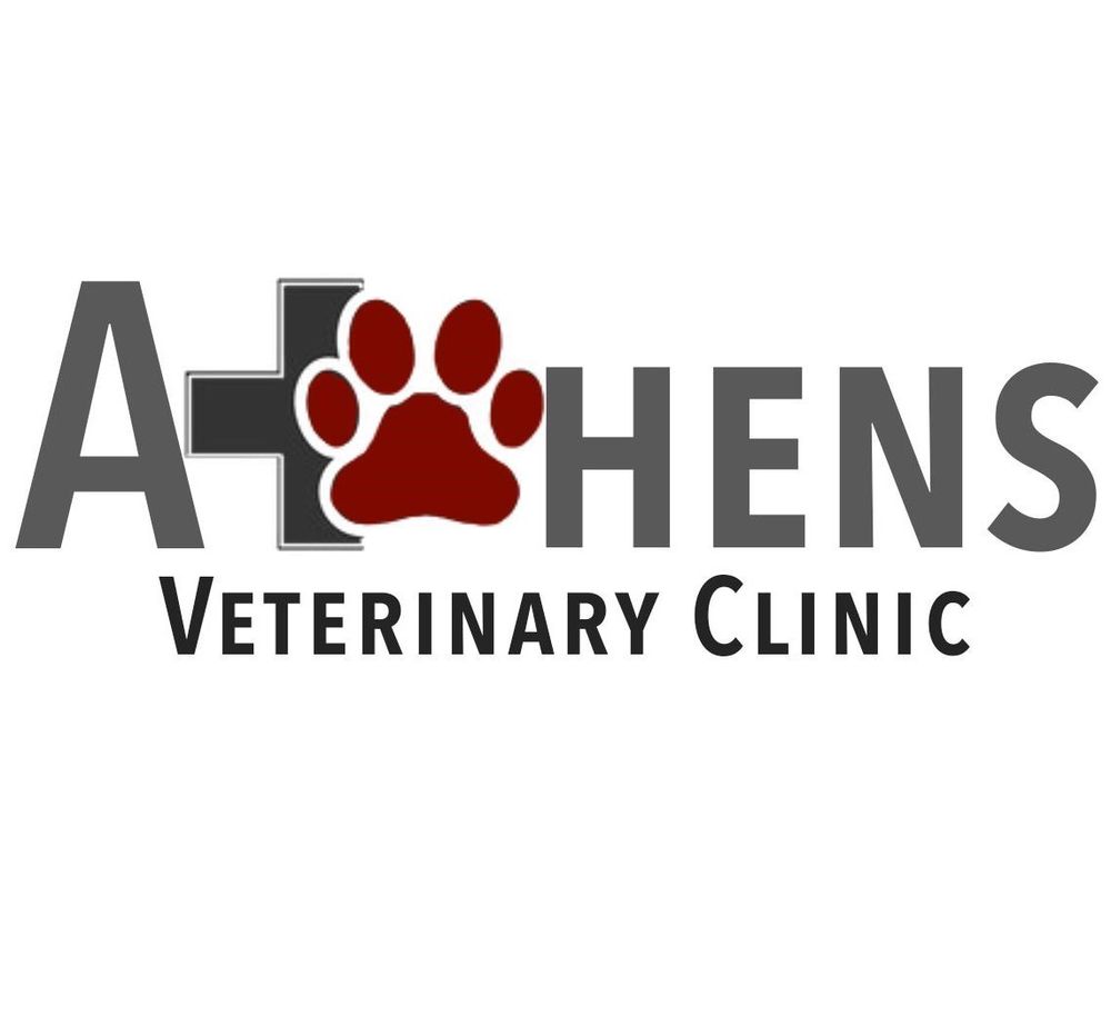 ATHENS VETERINARY CLINIC Updated September 2024 11 Reviews 16