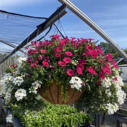 Plant Tech