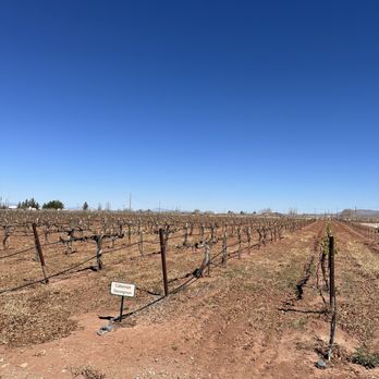 PistachioLand - Attraction Farms Near Me - Alamogordo, New Mexico