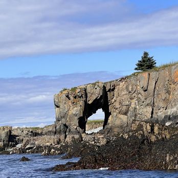 Robertson Sea Tours - Boat Tours Near Me - Milbridge, Maine Robertson Sea Tours - Boat Tours Near Me - Milbridge, Maine