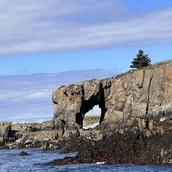 Robertson Sea Tours