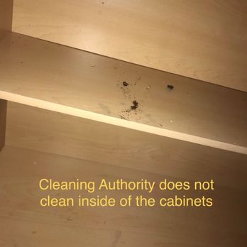 The Cleaning Authority - Troy - Home Cleaning Near Me - Troy, Michigan