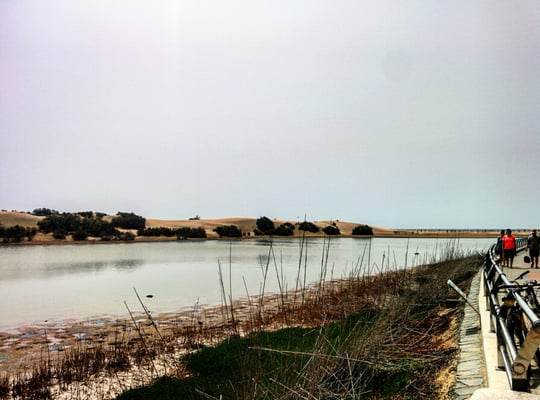 Dunas de Maspalomas by null