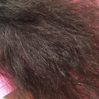 Extensions Plus - Dry, Tangled, Frizzy, Mess. (ZigZag Wavy .. do you see a wave?) - Hair Extensions Near Me - Tarzana, California Extensions Plus - Dry, Tangled, Frizzy, Mess. (ZigZag Wavy .. do you see a wave?) - Hair Extensions Near Me - Tarzana, California