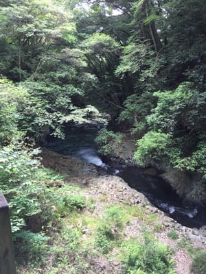 Kawazu Seven Waterfalls by null