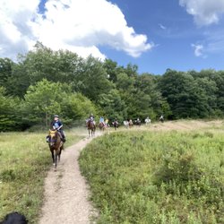 Mountain Laurel Riding Stables - Trail ride
