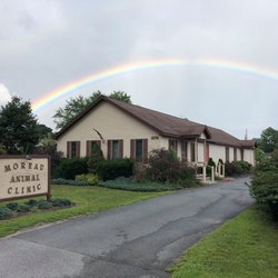Moreau Animal Clinic - We are excited to provide high quality medicine and care to such a deserving close knit community.