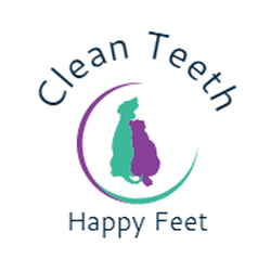 Clean Teeth Happy Feet