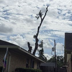 H&H Tree Service