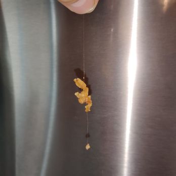 Slim Chickens - Photo of someone's hair cooked into my chicken - Chicken Wings Near Me - Lehi, Utah Slim Chickens - Photo of someone's hair cooked into my chicken - Chicken Wings Near Me - Lehi, Utah