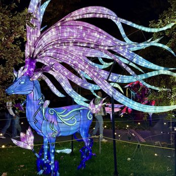 Elite Experience: Dragon Lights Reno - Yelp Events Near Me - Reno, Nevada Elite Experience: Dragon Lights Reno - Yelp Events Near Me - Reno, Nevada