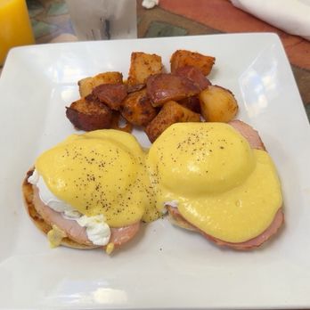 The New Lighthouse Caffe - food - Cafes Near Me - Fort Lauderdale, Florida
