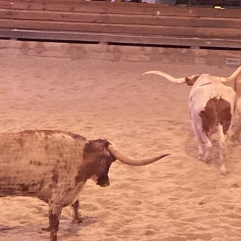 Dolly Parton's Stampede - Longhorns - Performing Arts Near Me - Pigeon Forge, Tennessee