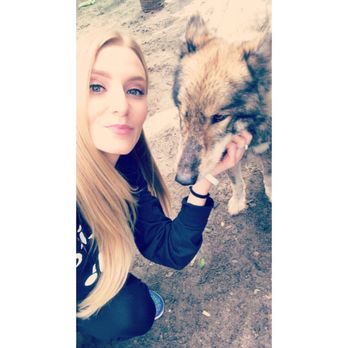 Shy Wolf Sanctuary Education & Experience Center - Amaya! - Animal Shelters Near Me Shy Wolf Sanctuary Education & Experience Center - Amaya! - Animal Shelters Near Me
