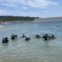 Photo of Duggan Diving