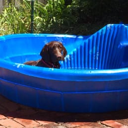 Our pup in the pool on a hot day.  Great for cooling off between rounds of play!