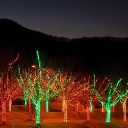 Holiday Light Pros