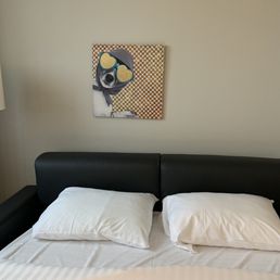 Pull out couch in room