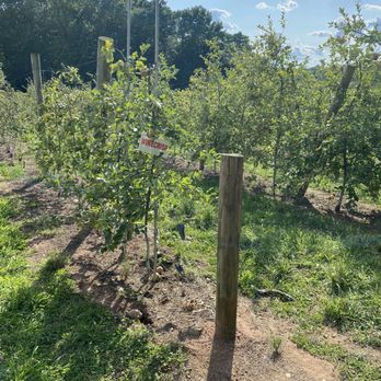 Demarest Farm - Farmers Market Near Me - Hillsdale, New Jersey