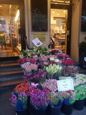 Gutta på Haugen by null